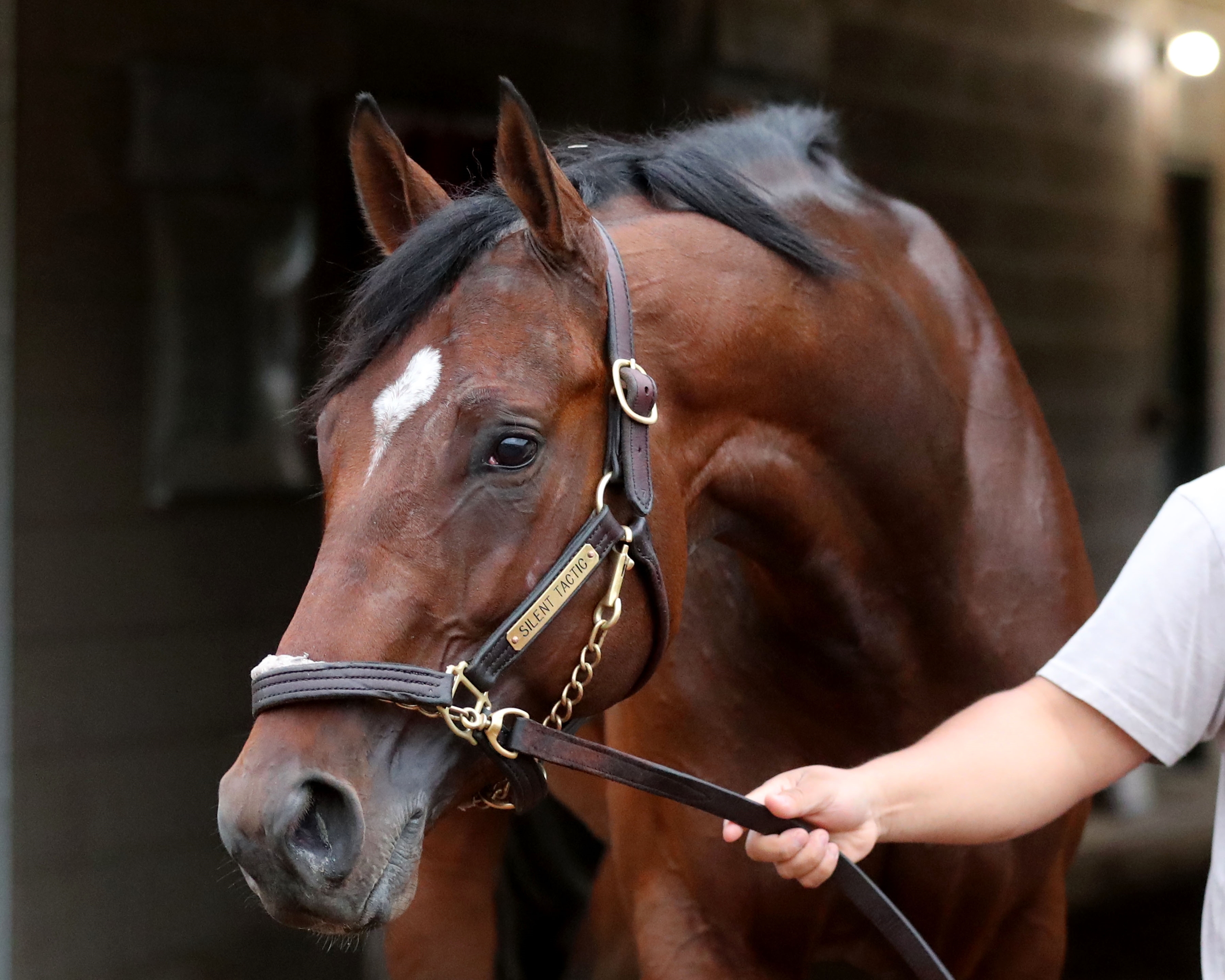 Kentucky Derby Notes: Derby, Oaks Fields Dealt Changes - BloodHorse
