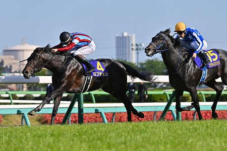 Lovcen (No. 4) defeats Realize Sirius to win the Satsuki Sho at Nakayama Racecourse