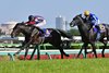 Lovcen, ridden by Kohei Matsuyama, wins the 2026 Satsuki Sho (Japanese 2000 Guineas) on Sunday, April 19, 2026 at Nakayama Race Course