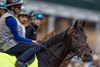 Incredibolt at Churchill Downs, Louisville, KY, on April 26th, 2026 
