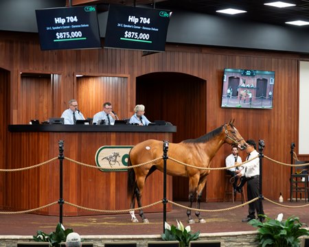 The Speaker's Corner colt consigned as Hip 704 in the ring at the OBS Spring Sale
