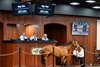 Hip 704, 2026 OBS Spring 2YO in Training Sale