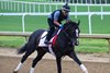 Counting Stars
Training at Churchill Downs on April 26, 2026. 