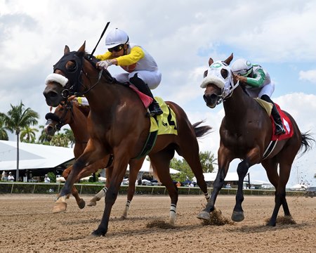 Ford Roadster defeats Strike (inside) to complete a sons-of-Roadster exacta at Gulfstream Park