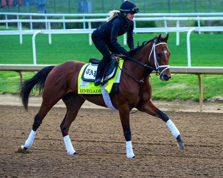 Renegade trains at Churchill Downs
