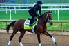 Renegade with Nora McCormack
Training at Churchill Downs on April 26, 2026. 