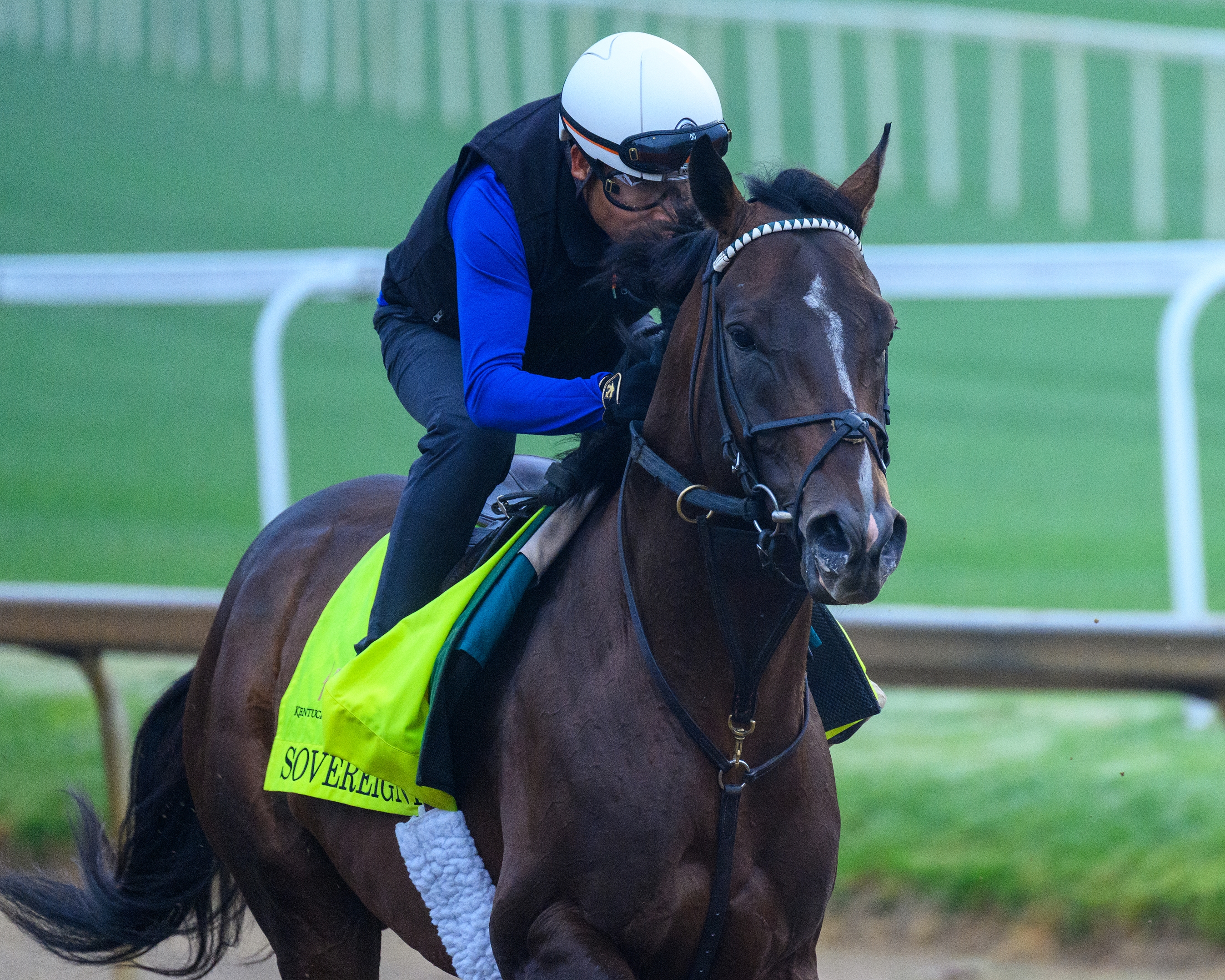Strauss Earns Landmark Victory in Abu Dhabi Gold Cup - BloodHorse