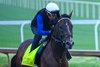 Sovereignty
Training at Churchill Downs on April 24, 2026. 