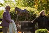 Jack Knowlton removes the cover to unveil the Funny Cide statue April 30 at the Kentucky Horse Park
