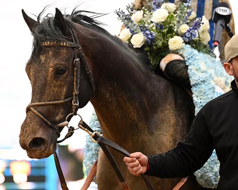 Bill Mott Confident in Horse Ahead of Race