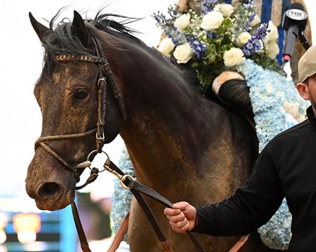 Albus after winning the Wood Memorial at Aqueduct Racetrack