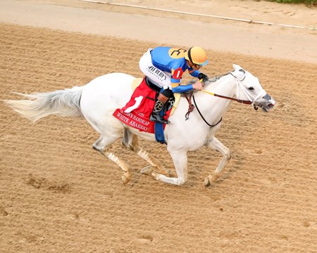 White Abarrio wins the Oaklawn Handicap at Oaklawn Park