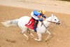 White Abarrio wins the 2026 Oaklawn Handicap at Oaklawn Park