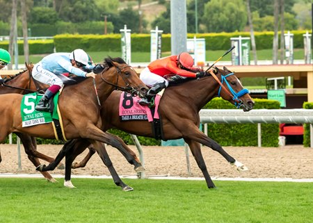 Take A Breath holds off May Day Ready to win the Royal Heroine Stakes at Santa Anita Park