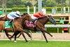 Take A Breath and jockey Emisael Jaramillo, right, outleg My Day Ready (Antonio Fresu), left, to win the Grade III, $100,000 Royal Heroine Stakes, Saturday, April 25, 2026 at Santa Anita Park, Arcadia CA.
© BENOIT PHOTO