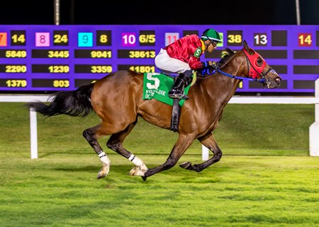 Allnight Moonlight wins the Don Stemmans Memorial Stakes race April 11 at Evangeline Downs