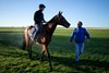 Charlie Appleby speak to Billy Loughnane after galloping Abashiri on the Rowley Mile
Newmarket 14.4.26 Pic: Edward Whitaker