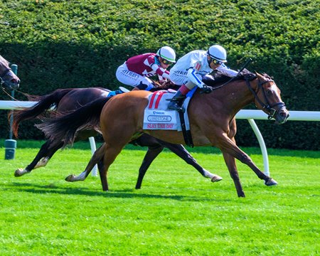 Slay the Day wins the Limestone Stakes at Keeneland