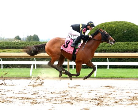 Suspicions breaks his maiden on debut at Keeneland