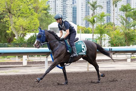 Masquerade Ball at Sha Tin Racecourse