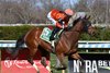 Hot Currency wins the Fourstar Crook Stakes on Saturday, April 11, 2026 at Aqueduct Racetrack