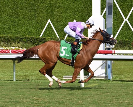 Miss Vyvyanne wins a handicap at Gulfstream Park