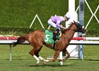 Miss Vyvyanne wins the 2026 Golden Beach Handicap at Gulfstream Park