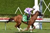 Miss Vyvyanne wins the 2026 Golden Beach Handicap at Gulfstream Park