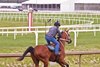 The Hell We Did, April 29 2026, Laurel Park