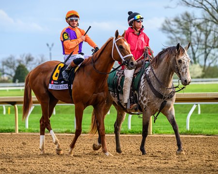 Further Ado prior to winning the Blue Grass Stakes at Keeneland