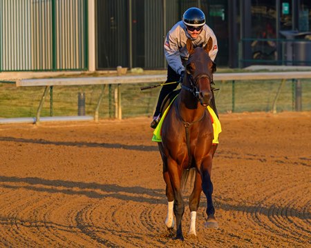 Silent Tactic and Cristian Torres prepare to breeze at Churchill Downs