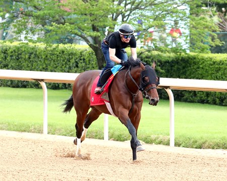 Silent Tactic works at Oaklawn Park
