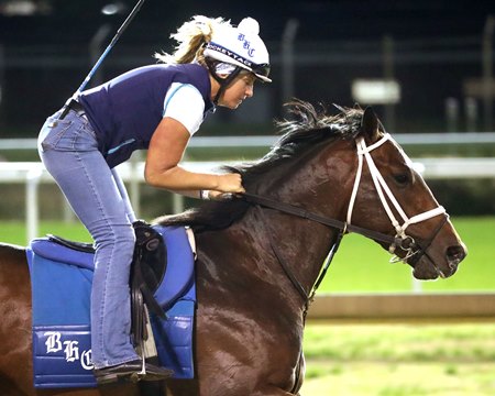 Commandment gallops April 9 at Churchill Downs