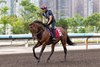 Satono Reve galloping at Sha Tin