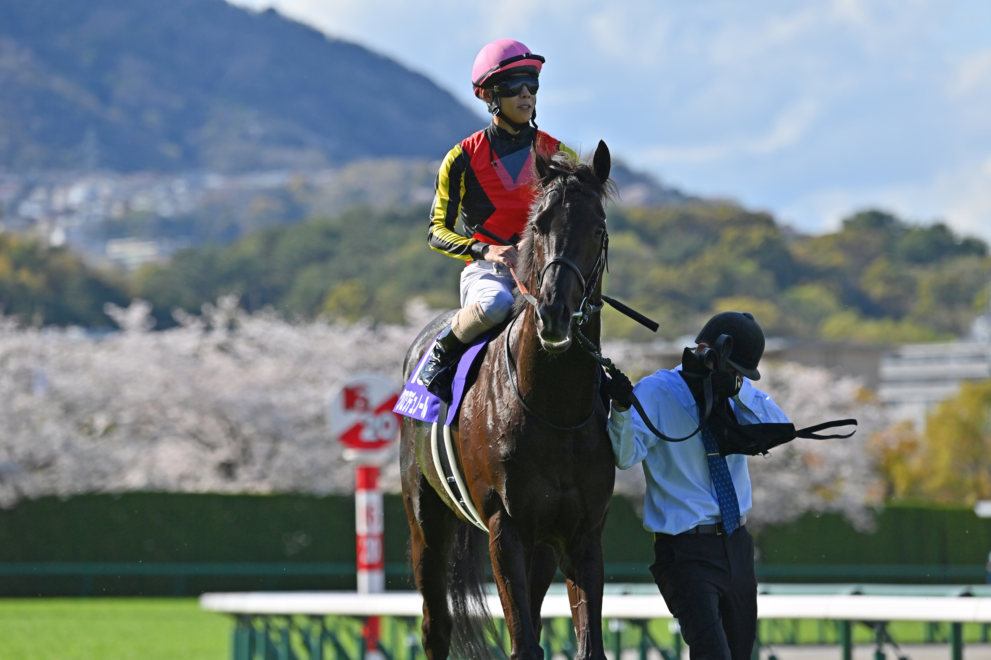 Croix du Nord (JPN) - Horse Profile - BloodHorse