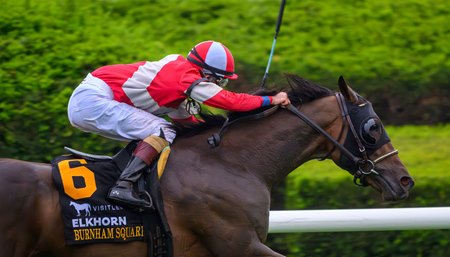Burnham Square dominates in the Elkhorn Stakes at Keeneland