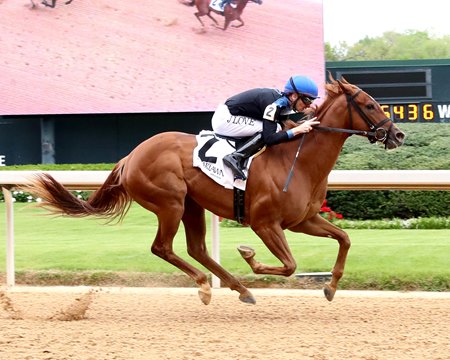 Little Miss Curlin wins an allowance optional claiming race at Oaklawn Park