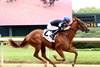 Little Miss Curlin, AOC, Oaklawn Park, April 2 2026