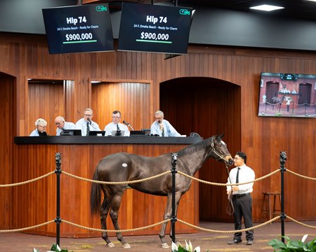 The Omaha Beach filly consigned as Hip 74 in the ring at the OBS Spring Sale
