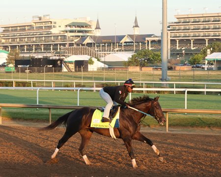 Chip Honcho trains at Churchill Downs