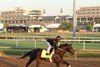 Chip Honcho - Gallop - Churchill Downs - 04-23-26