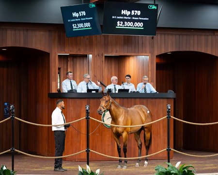 Brazen Persuasion's 2-year-old Jackie's Warrior filly sells for $2.3 million at the OBS Spring Sale