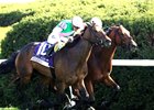Expensive Queen (outside) and Segesta dead heat to win the Jenny Wiley Stakes on Saturday, April 11, 2026 at Keeneland