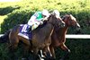 Expensive Queen (outside) and Segesta dead heat to win the Jenny Wiley Stakes on Saturday, April 11, 2026 at Keeneland