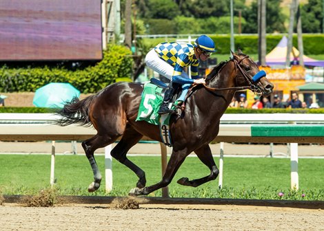 Undefeated Crude Velocity and Englishman Set for Showdown in Pat Day Mile at Churchill Downs — image 2