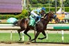 Crude Velocity, AOC, Santa Anita Park, April 4 2026