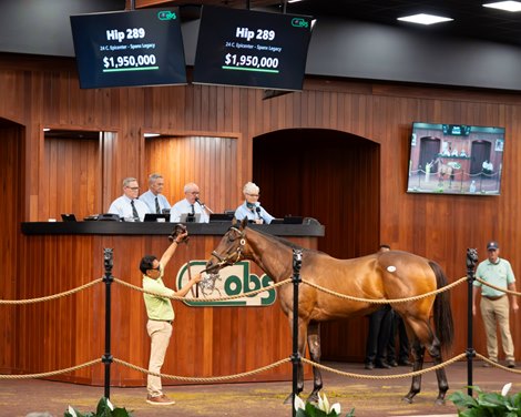 Eight Horses Exceed $500,000 in High-Stakes Sales
