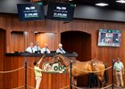 2026 OBS Spring Two-Year-Olds in Training Sale, Hip 289