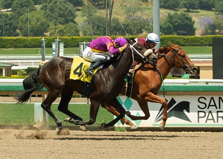 Dream Quest (inside) wins a maiden special weight at Santa Anita Park