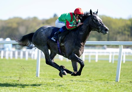 Gethin wins 2025 Darley Novice Stakes